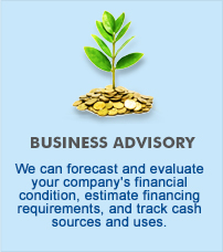 Business Advisory